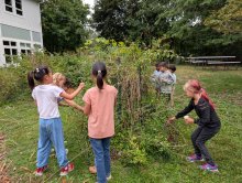 Elder Farming Update