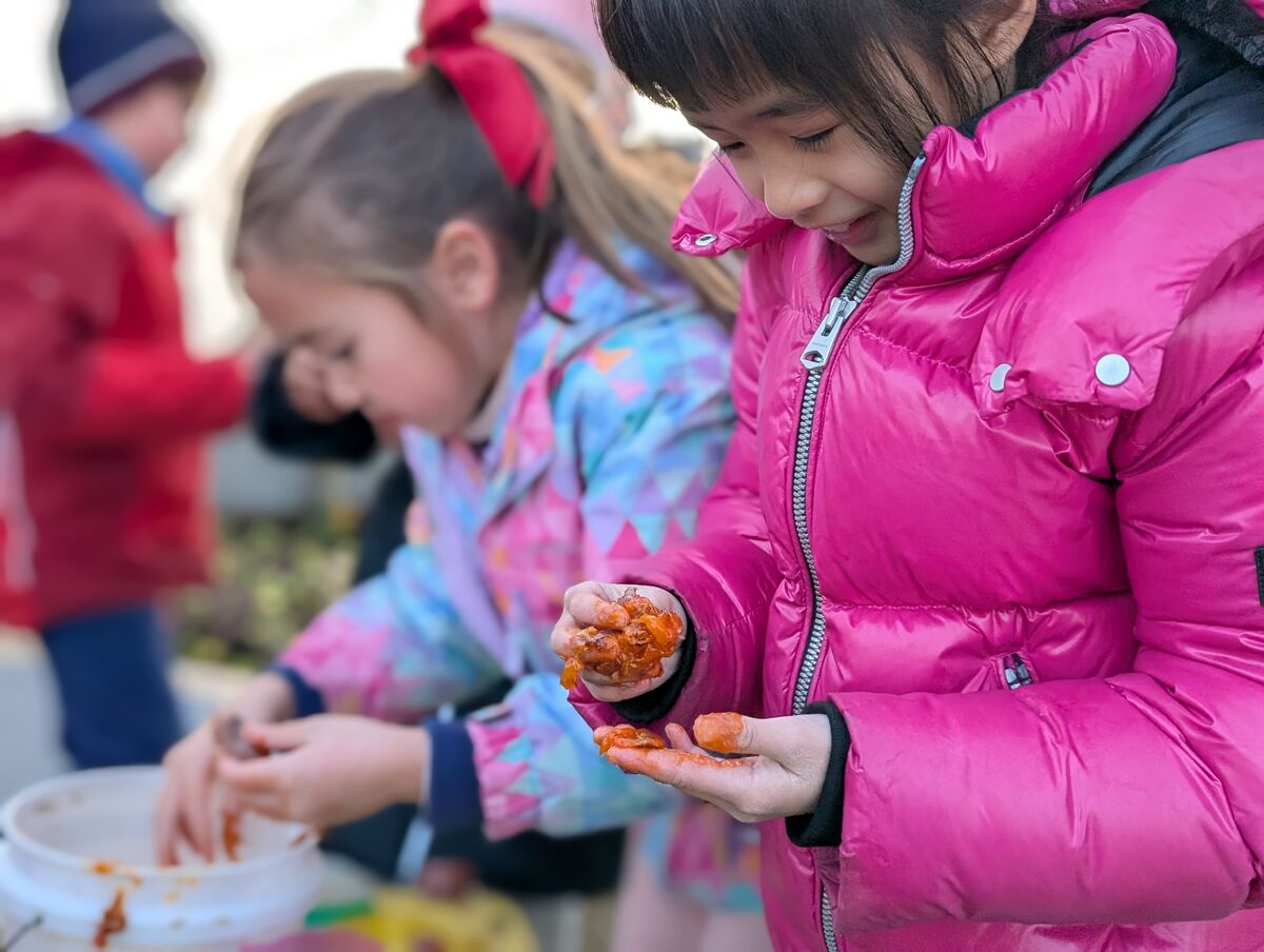 Farming in the winter season Farming in the winter season