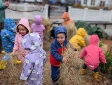 Toddler Farming Update