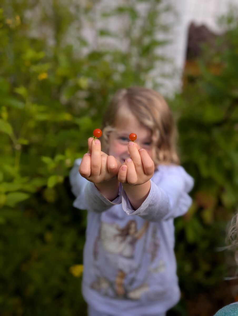 Kindergarten Farming Update