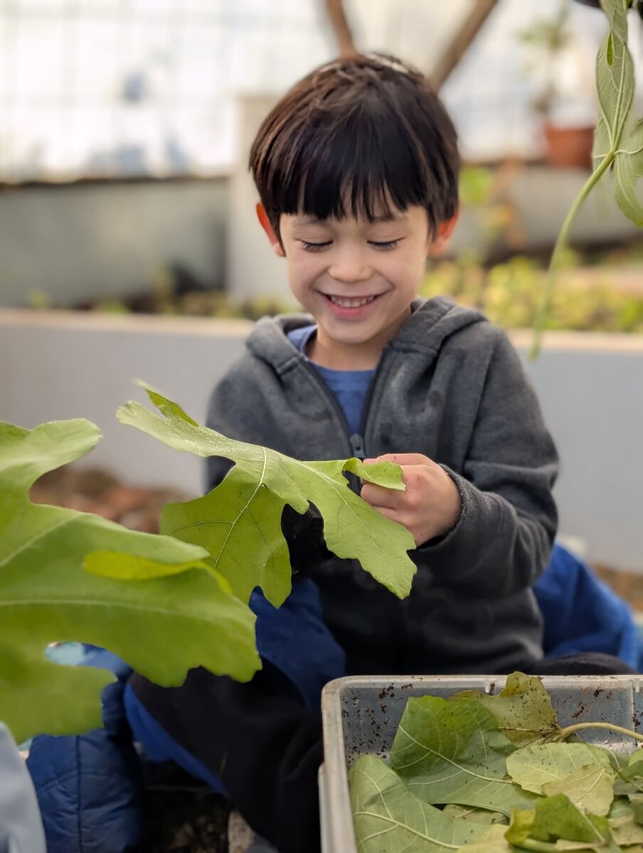 Kindergarten Farming Update Kindergarten Farming Update