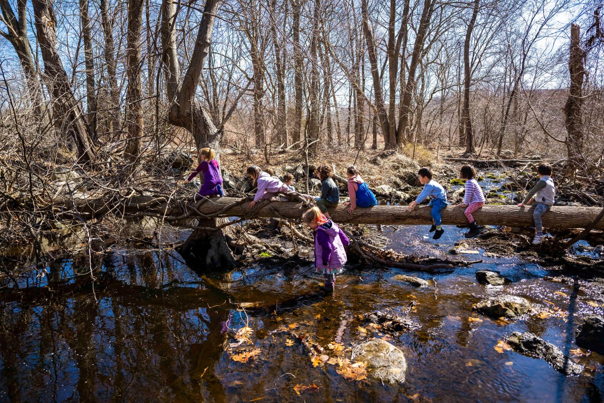Children's house students sitting on a log across the water while exploring LMS wetlands
