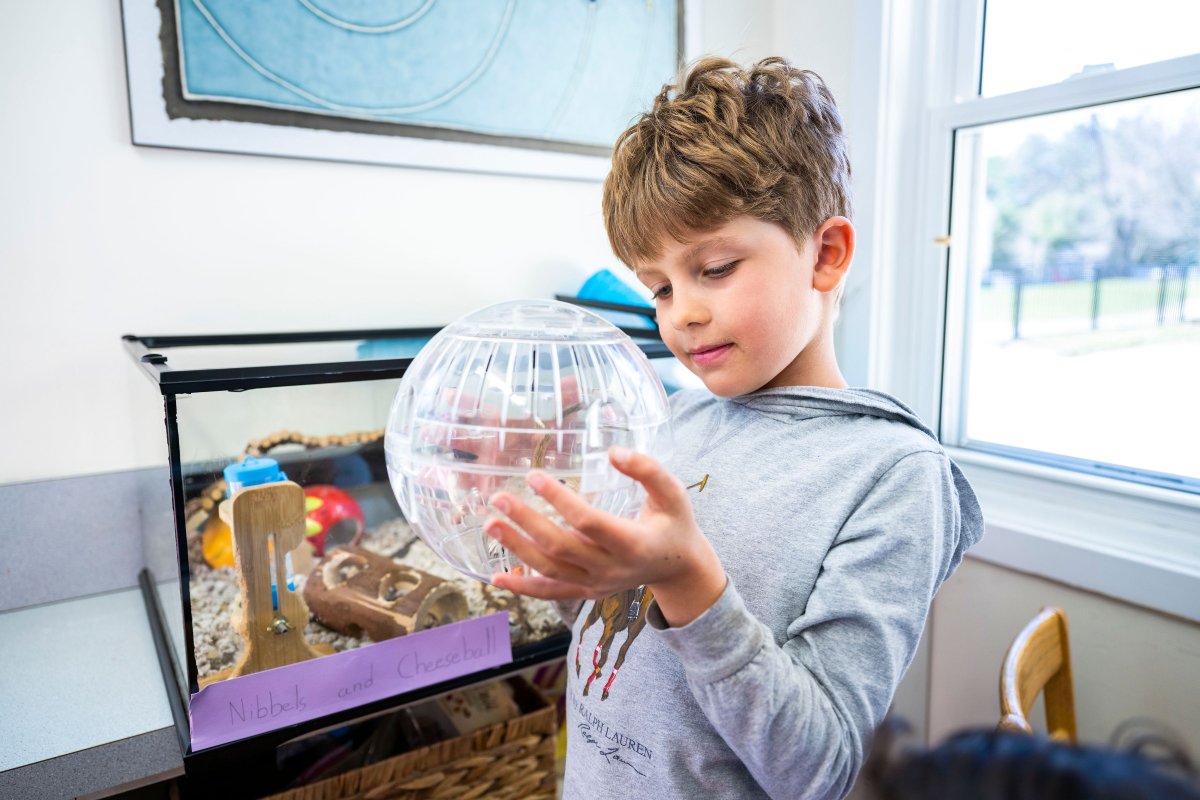 Young boy handeling a hamster ball